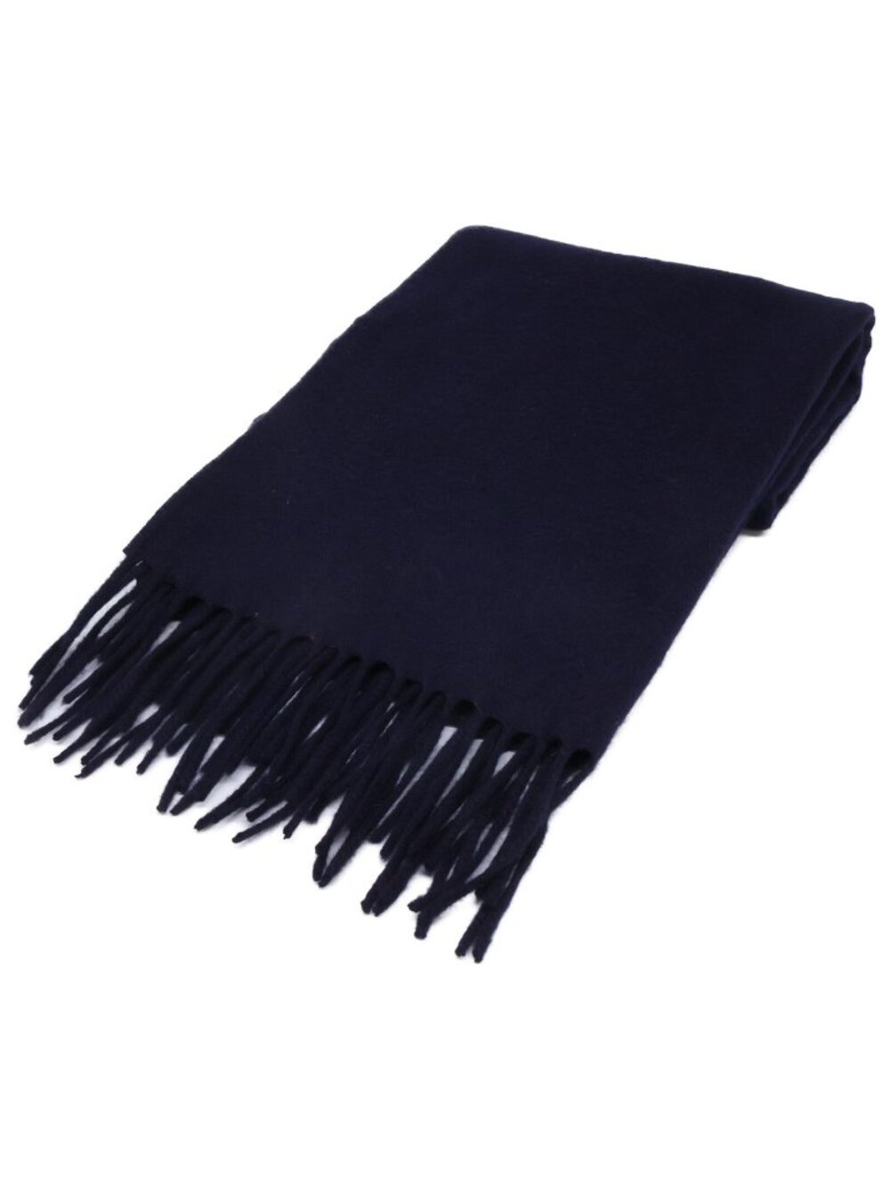 Loro Piana Paisley All Over Print Cashmere Fringe Scarf